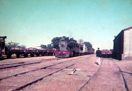 archivo werther halarewicz-105