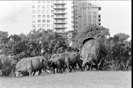 leonard mccombe la carreta-5