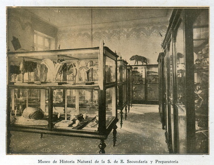 El Libro Del Centenario Del Uruguay-page 487-recorte1